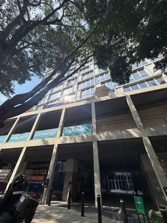 Foto de la galeria de imagenes